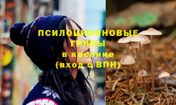 мдпв Зерноград