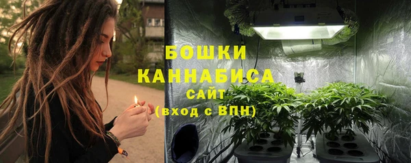 шишки Зеленодольск