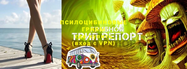 эйфоретик Инсар