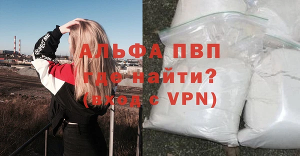 эйфоретик Инсар