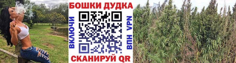 kraken вход  где найти   Щучье  МАРИХУАНА White Widow 